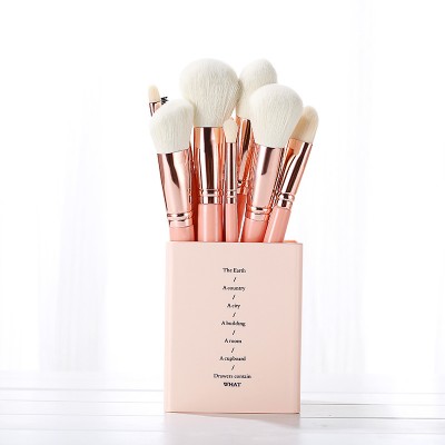 10pcs Professional Private Label Makeup Brush With Bag Pink Makeup Brush Set